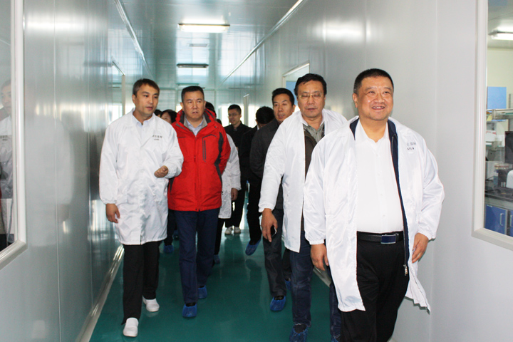 Investigation and guidance of Kunming party and government delegation Dongfang Baitai